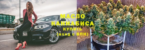 меф Ельня
