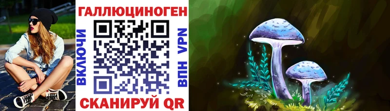 Купить закладки  Палласовка  Псилоцибиновые грибы Magic Shrooms 