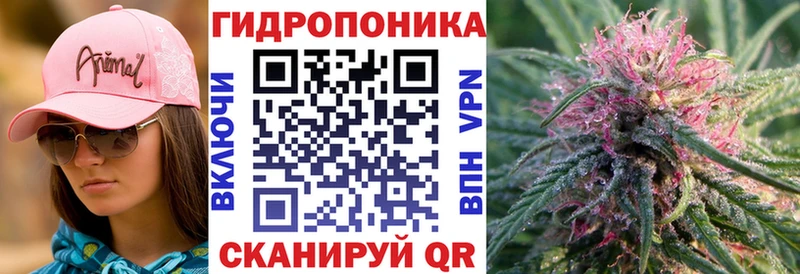 Бошки Шишки VHQ  Купить  Палласовка 